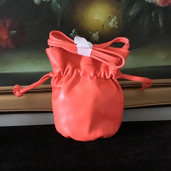 NWT J.Crew Mini Crossbody Pouch Bag Lamb Leather AUTUMN CORAL BE - Picture 4 of 7